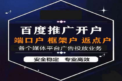 媒体平台的信息流广告代理服务案例探讨